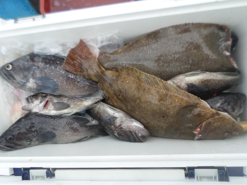 레인져호 조황갤러리입니다.