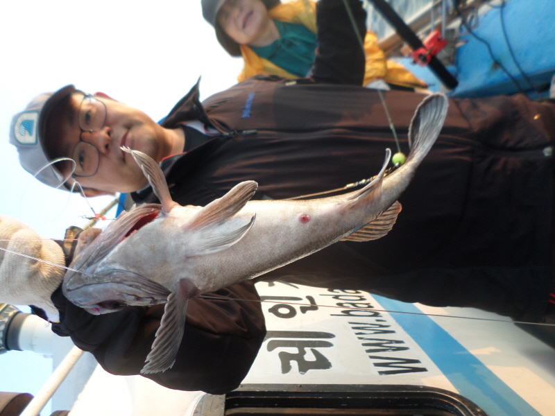 레인져호 조황갤러리입니다.