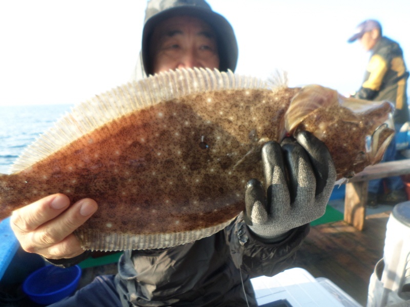 레인져호 조황갤러리입니다.