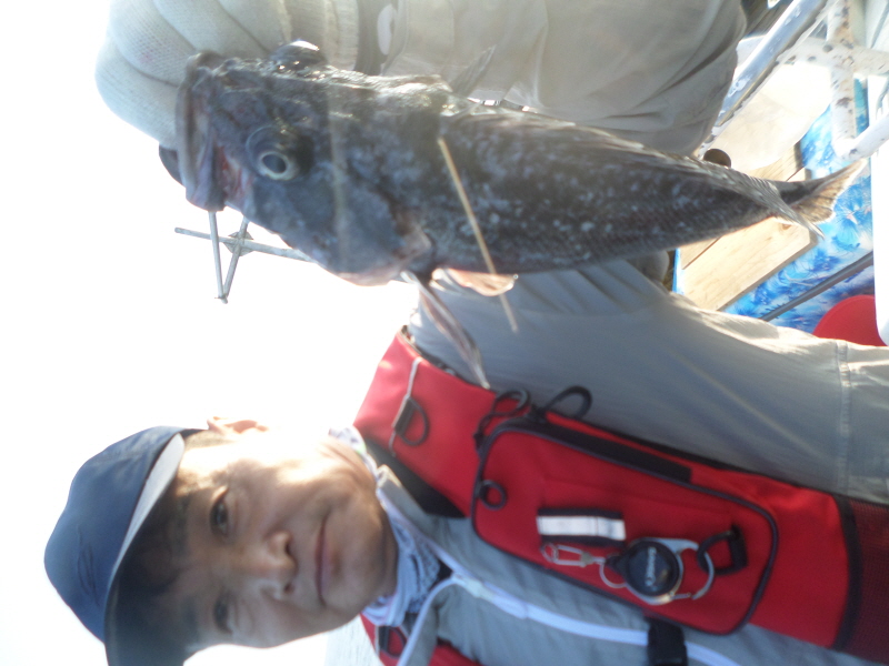 레인져호 조황갤러리입니다.