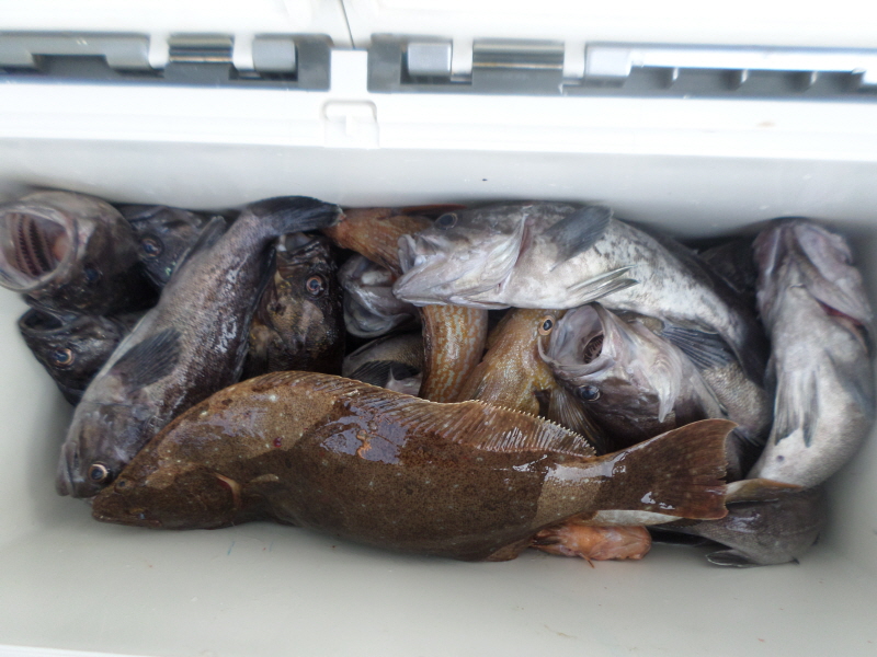 레인져호 조황갤러리입니다.