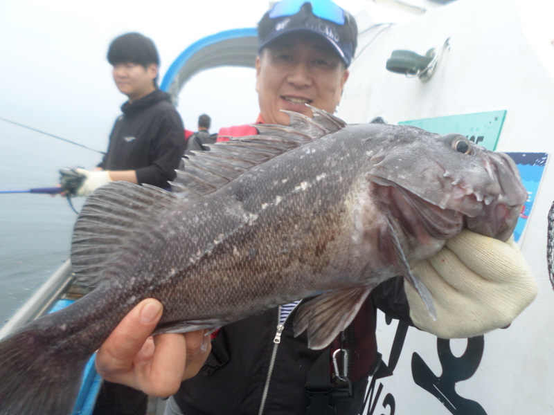 레인져호 조황갤러리입니다.