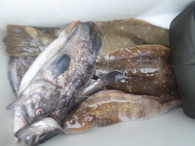 레인져호 조황갤러리입니다.