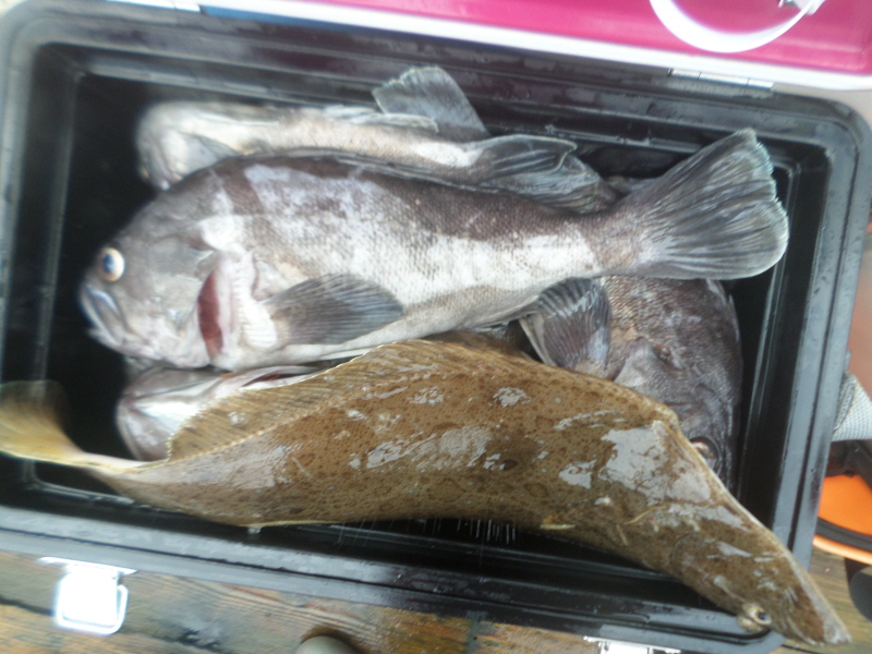 레인져호 조황갤러리입니다.