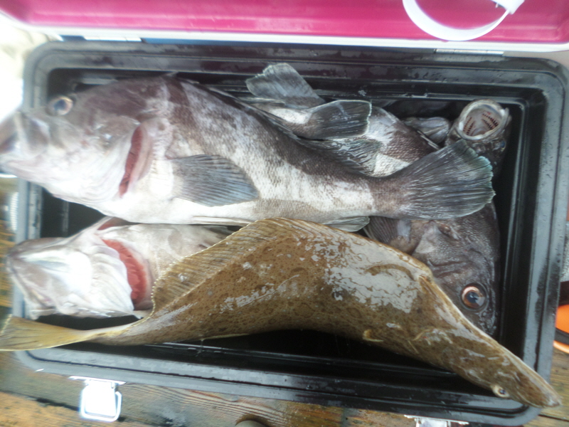 레인져호 조황갤러리입니다.