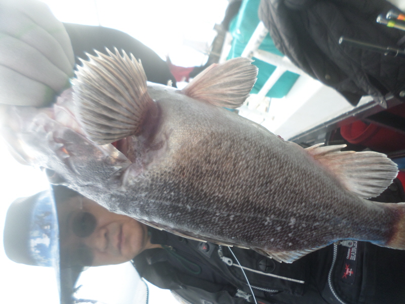 레인져호 조황갤러리입니다.