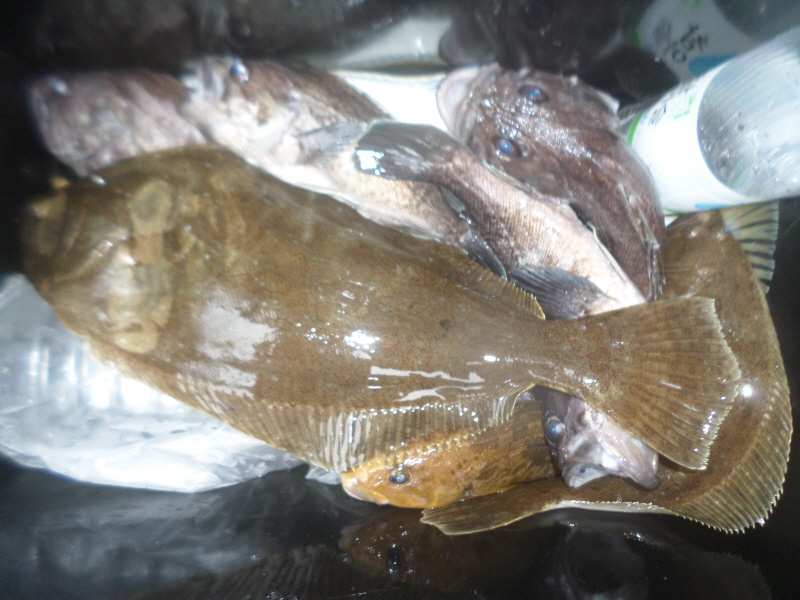 레인져호 조황갤러리입니다.