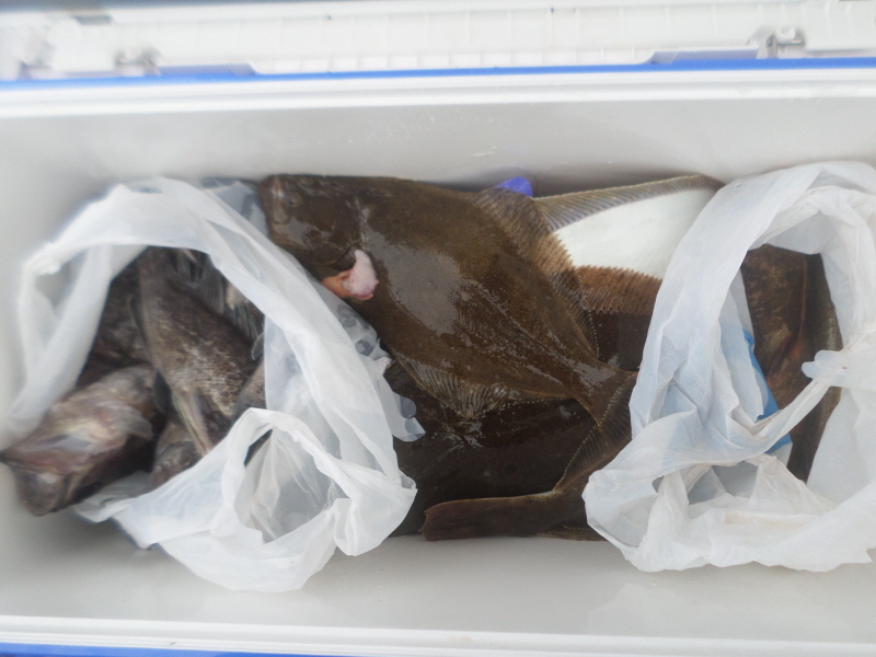 레인져호 조황갤러리입니다.