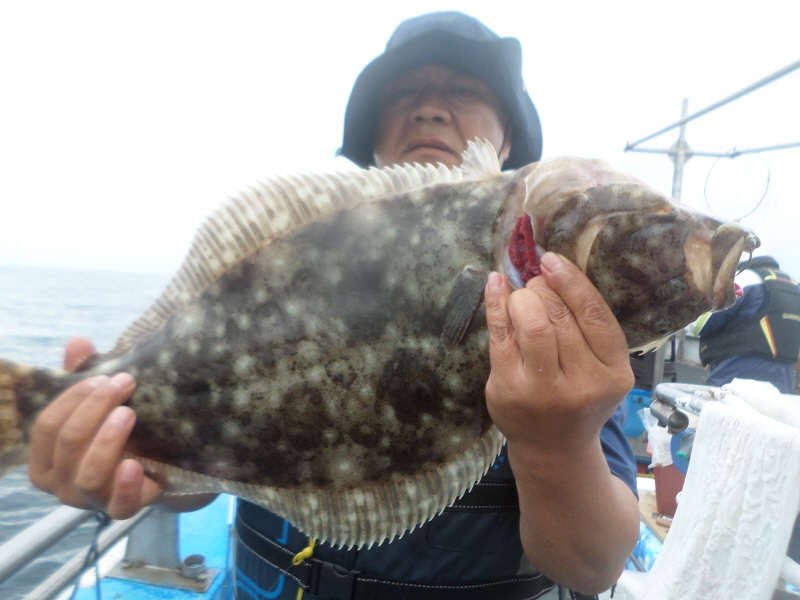 레인져호 조황갤러리입니다.