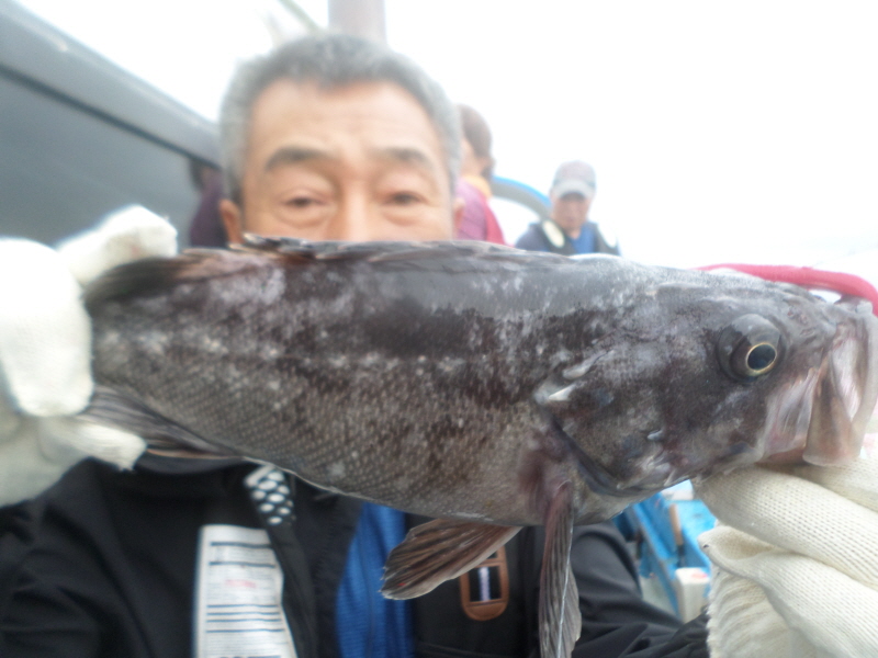 레인져호 조황갤러리입니다.