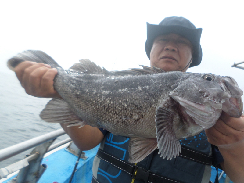 레인져호 조황갤러리입니다.
