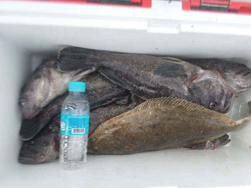 레인져호 조황갤러리입니다.