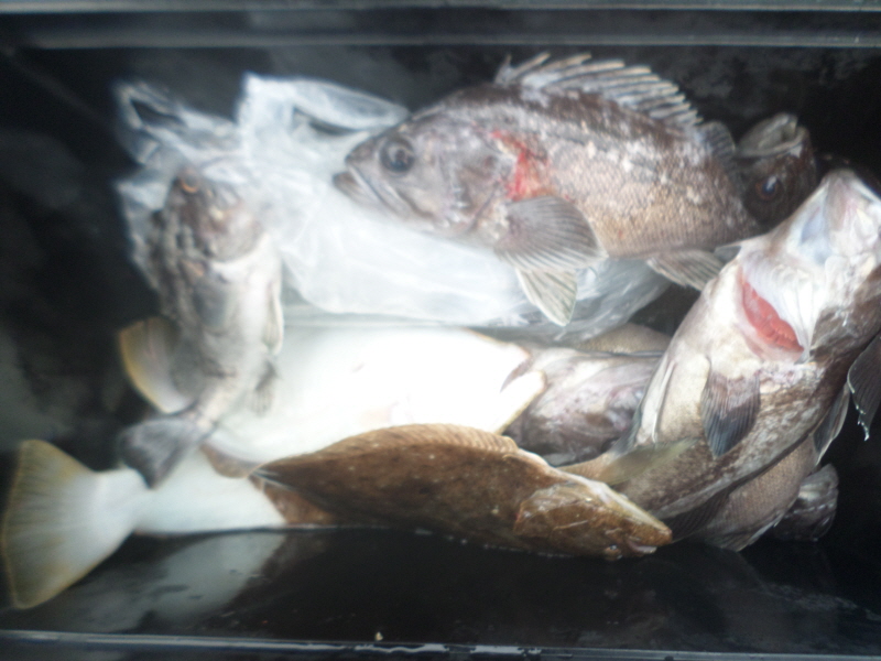 레인져호 조황갤러리입니다.