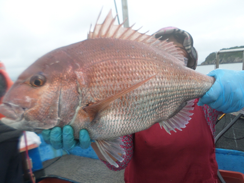 레인져호 조황갤러리입니다.