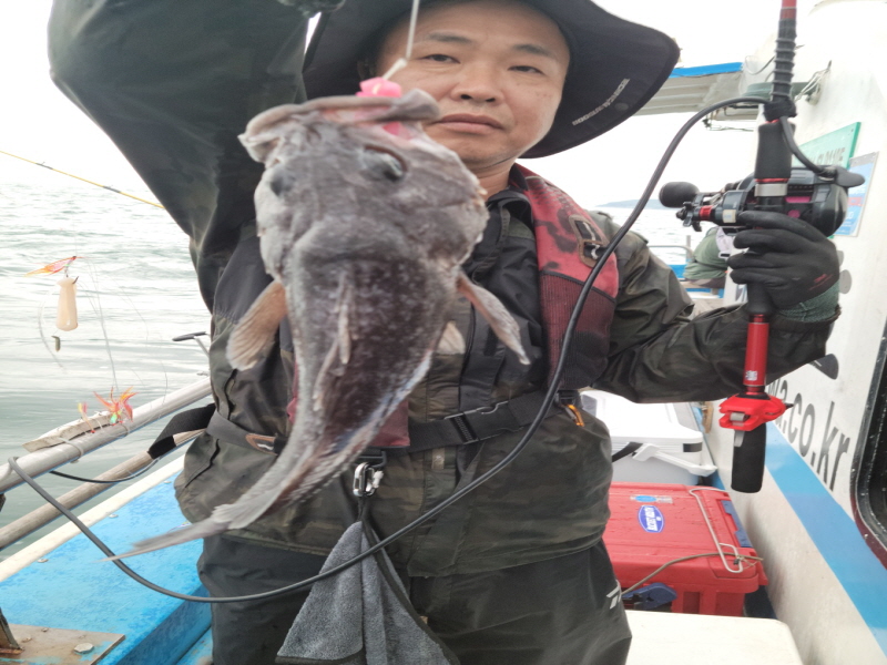 레인져호 조황갤러리입니다.