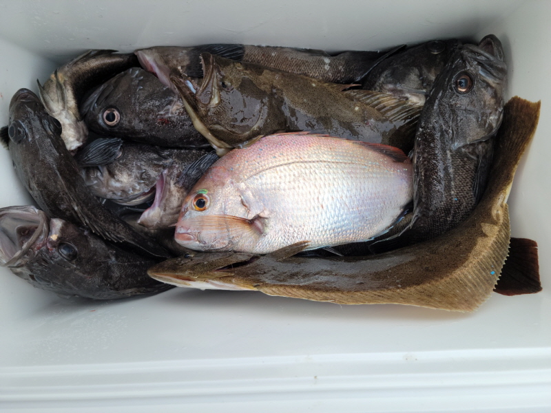 레인져호 조황갤러리입니다.