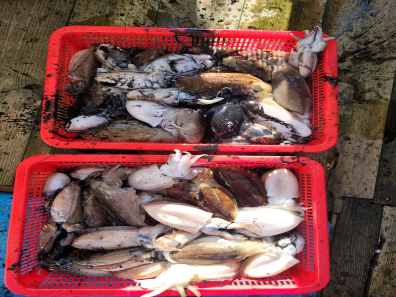 레인져호 조황갤러리입니다.