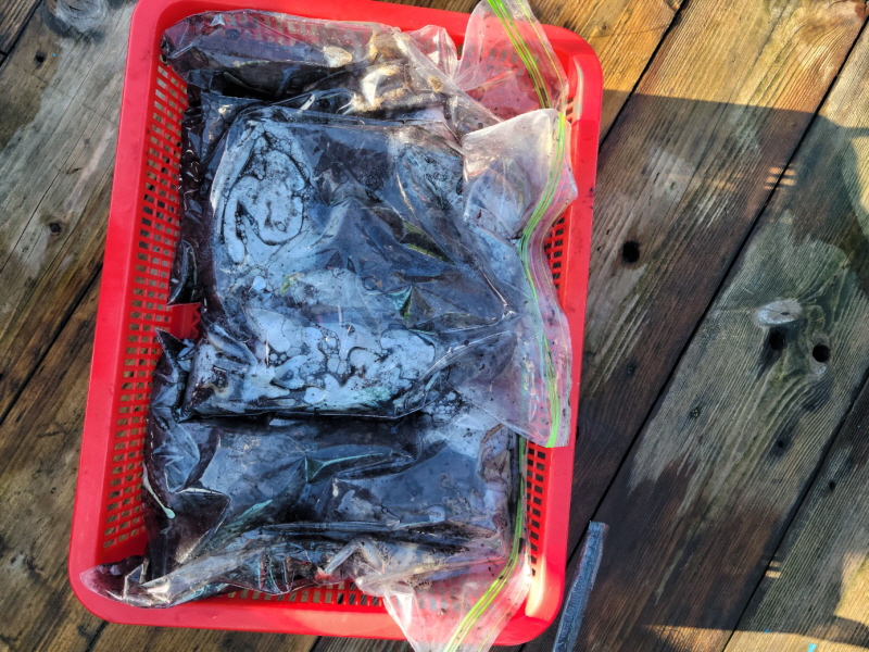 레인져호 조황갤러리입니다.