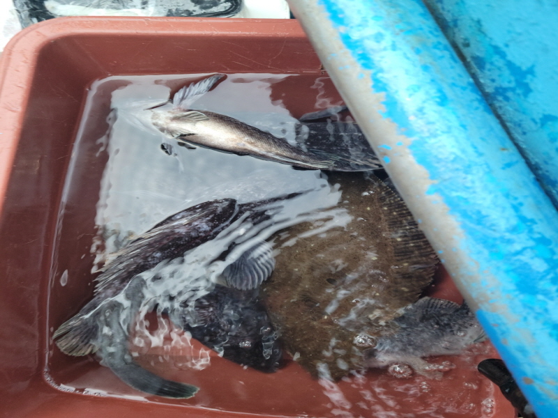 레인져호 조황갤러리입니다.