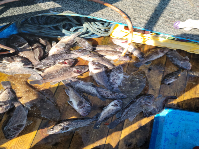 레인져호 조황갤러리입니다.