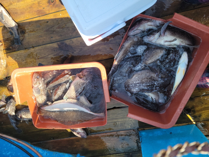 레인져호 조황갤러리입니다.