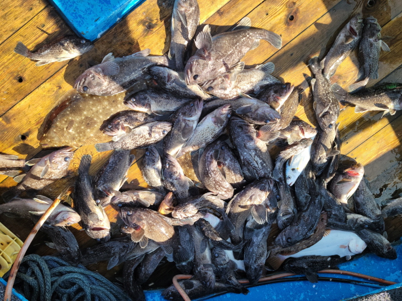 레인져호 조황갤러리입니다.