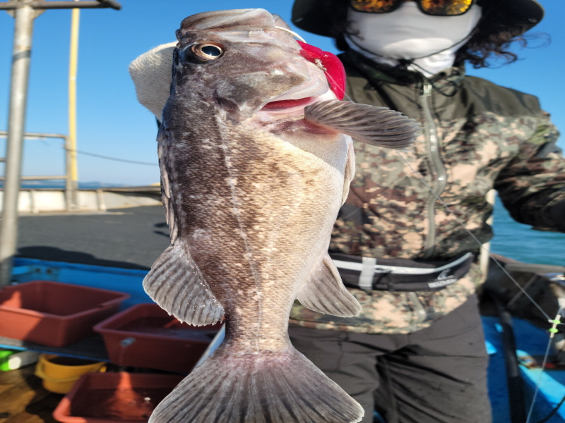 레인져호 조황갤러리입니다.