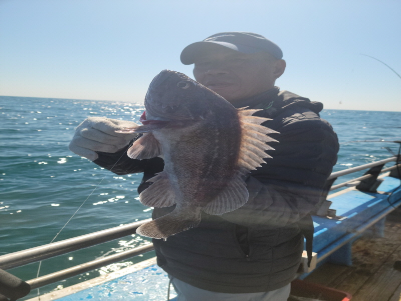 레인져호 조황갤러리입니다.