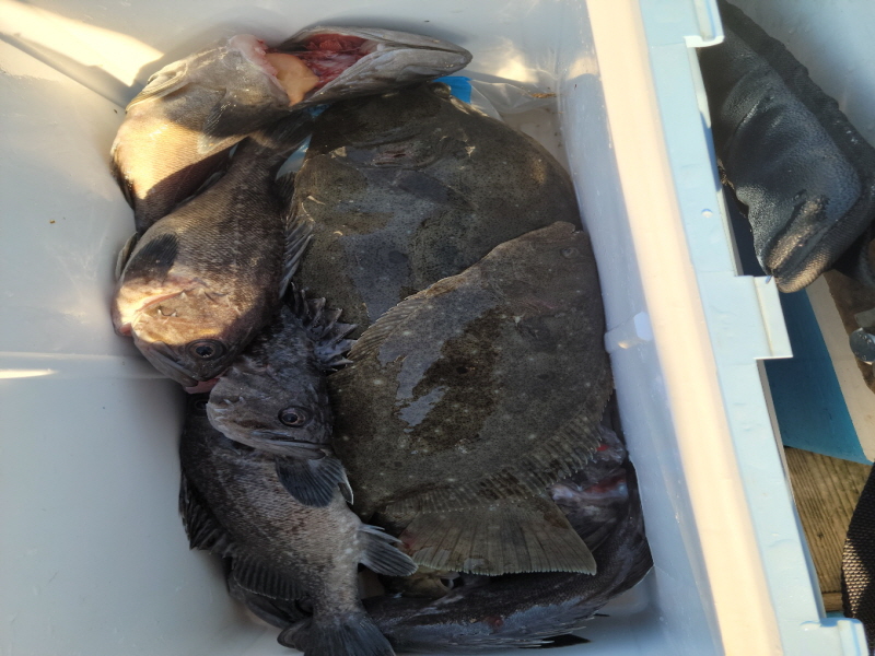 레인져호 조황갤러리입니다.