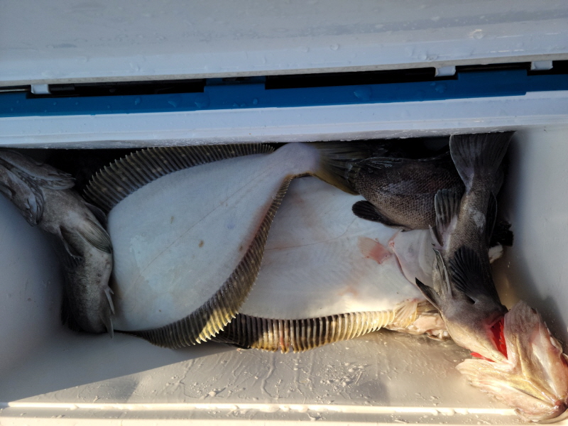 레인져호 조황갤러리입니다.