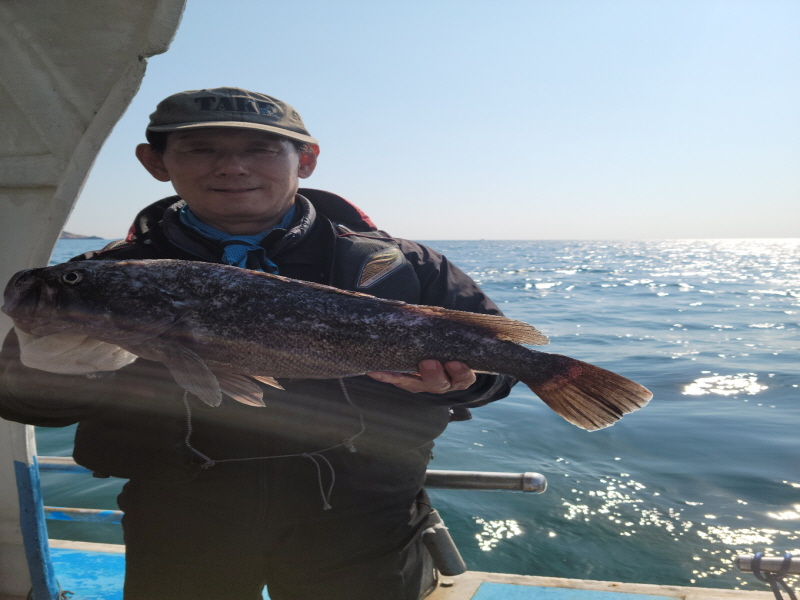 레인져호 조황갤러리입니다.