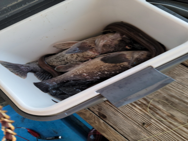 레인져호 조황갤러리입니다.