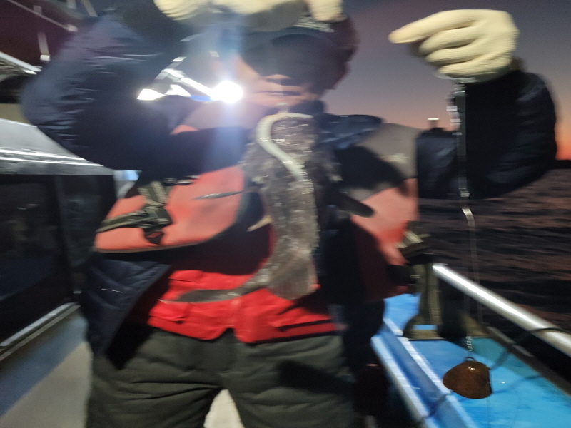 레인져호 조황갤러리입니다.