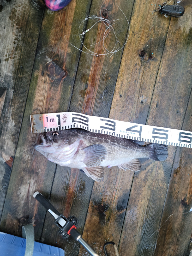 레인져호 조황갤러리입니다.