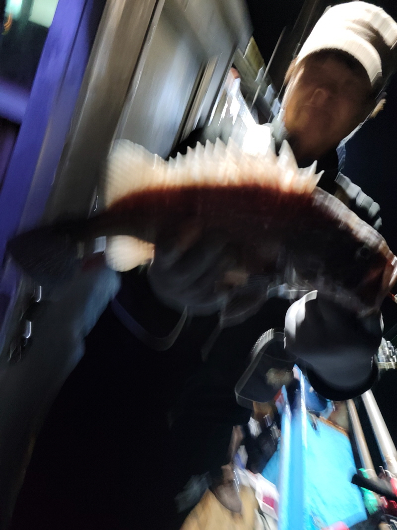 레인져호 조황갤러리입니다.