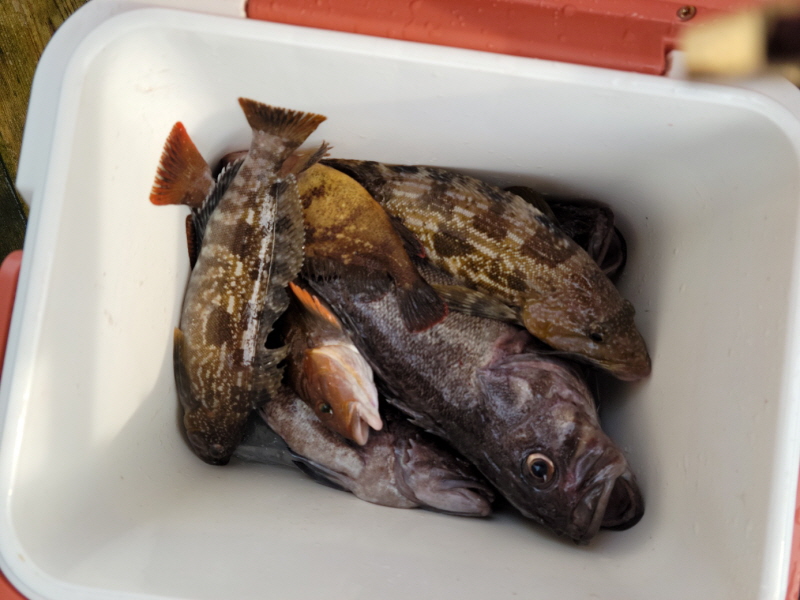 레인져호 조황갤러리입니다.