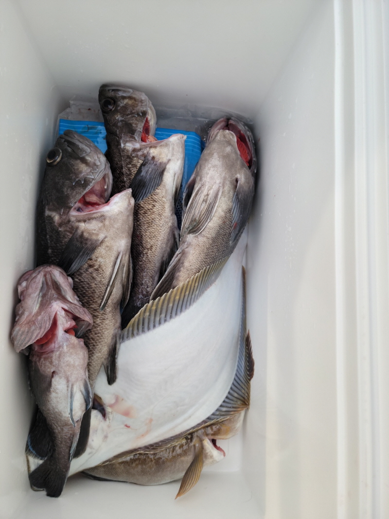 레인져호 조황갤러리입니다.