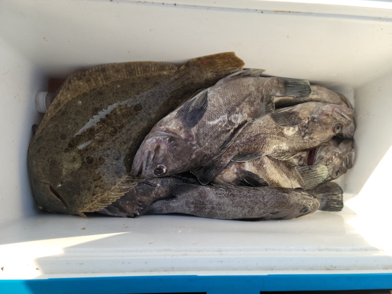 레인져호 조황갤러리입니다.