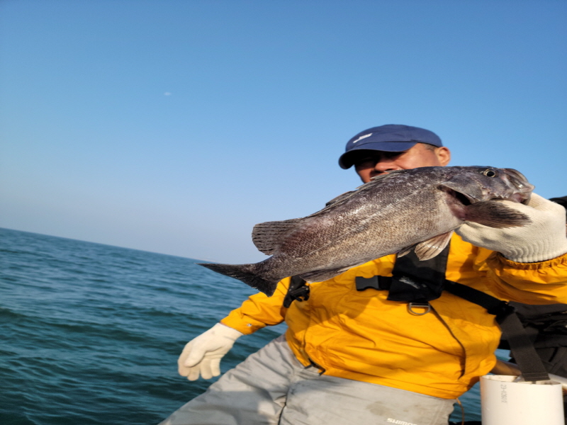 레인져호 조황갤러리입니다.