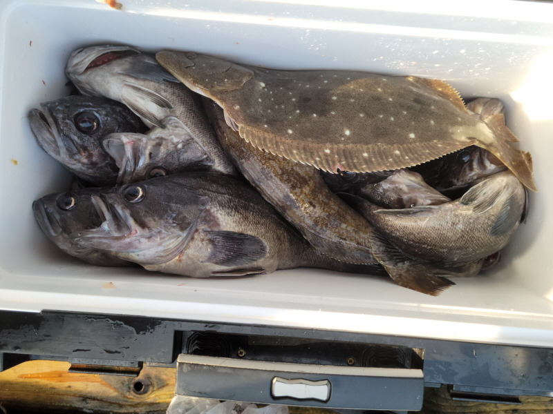 레인져호 조황갤러리입니다.