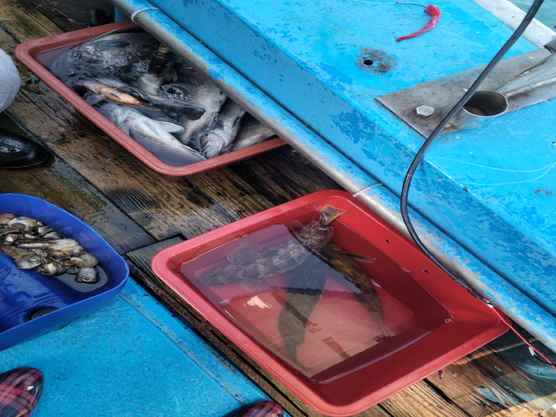 레인져호 조황갤러리입니다.