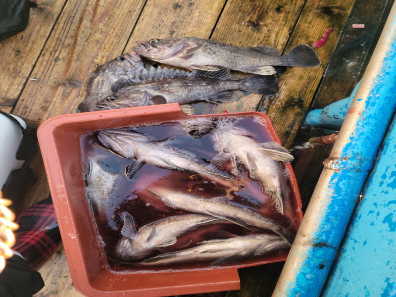 레인져호 조황갤러리입니다.