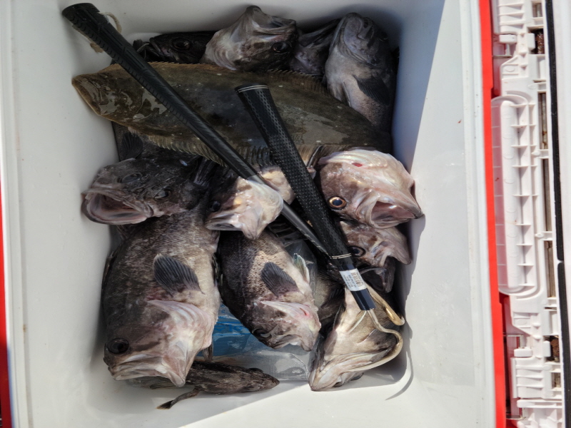 레인져호 조황갤러리입니다.