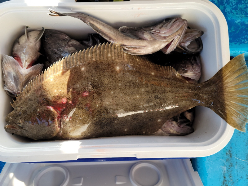 레인져호 조황갤러리입니다.