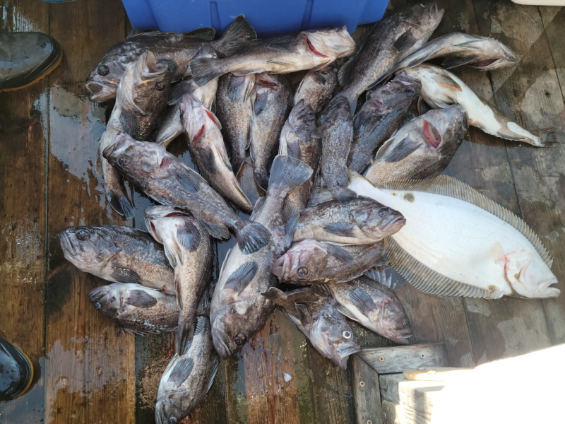 레인져호 조황갤러리입니다.