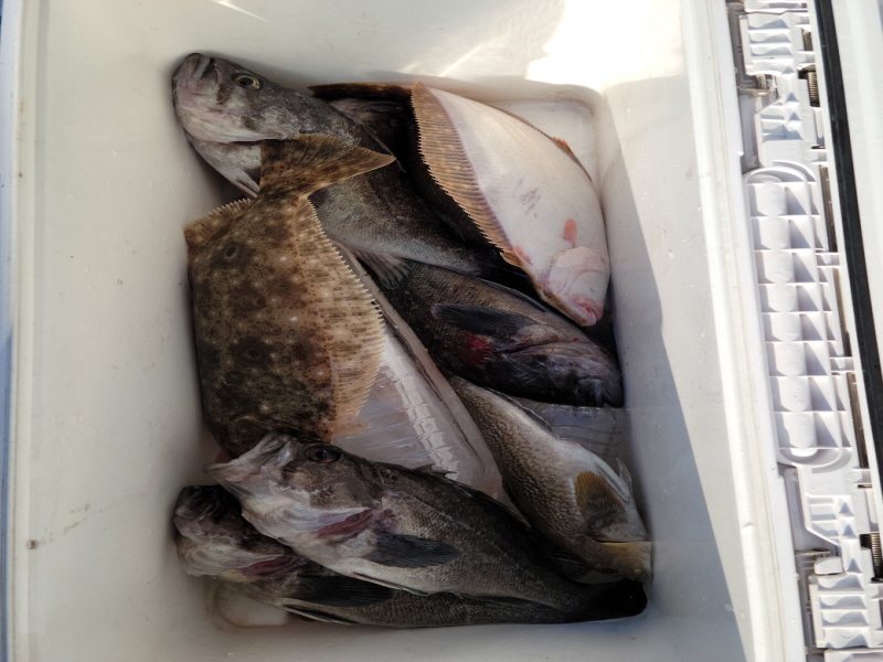 레인져호 조황갤러리입니다.