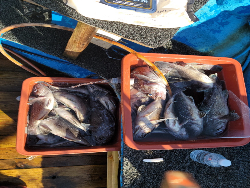 레인져호 조황갤러리입니다.