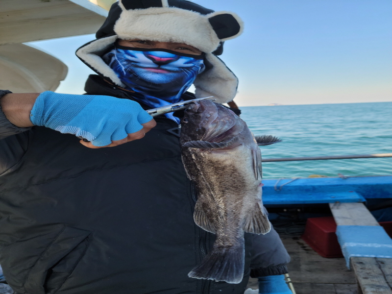 레인져호 조황갤러리입니다.