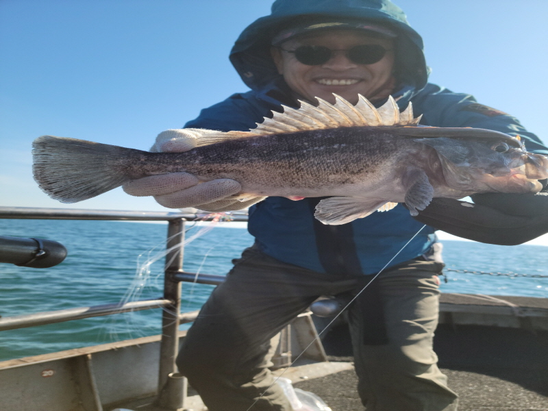 레인져호 조황갤러리입니다.
