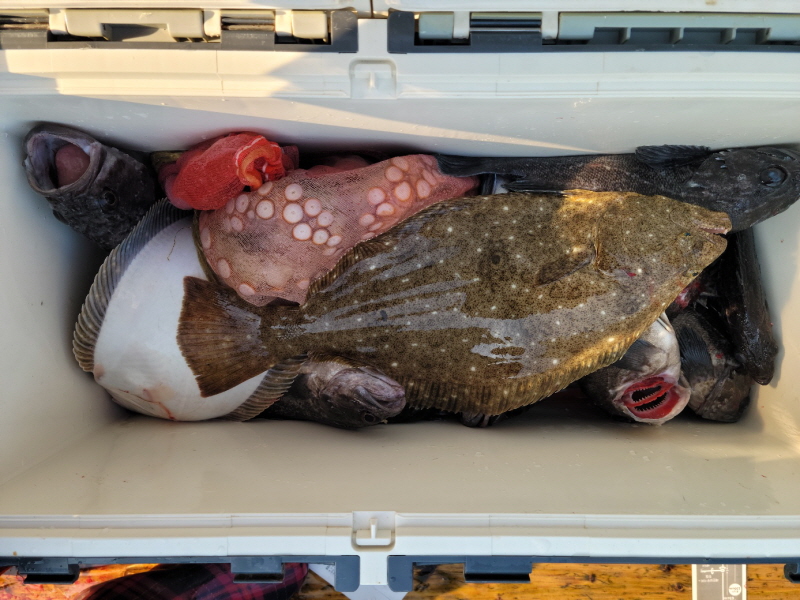 레인져호 조황갤러리입니다.